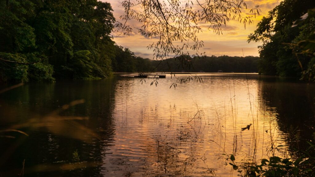 Lake Hartwell Georgia scenic shoreline