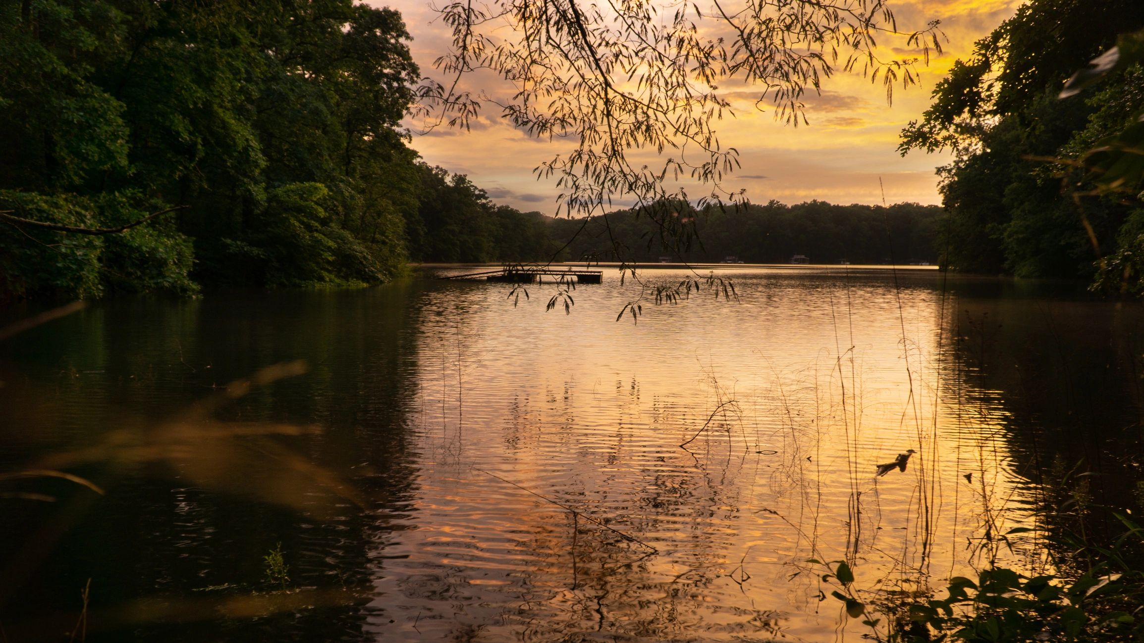 Lake Hartwell Georgia scenic shoreline
